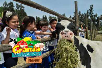Granja Educativa de Lonquén 2026 - Panoramas con niños